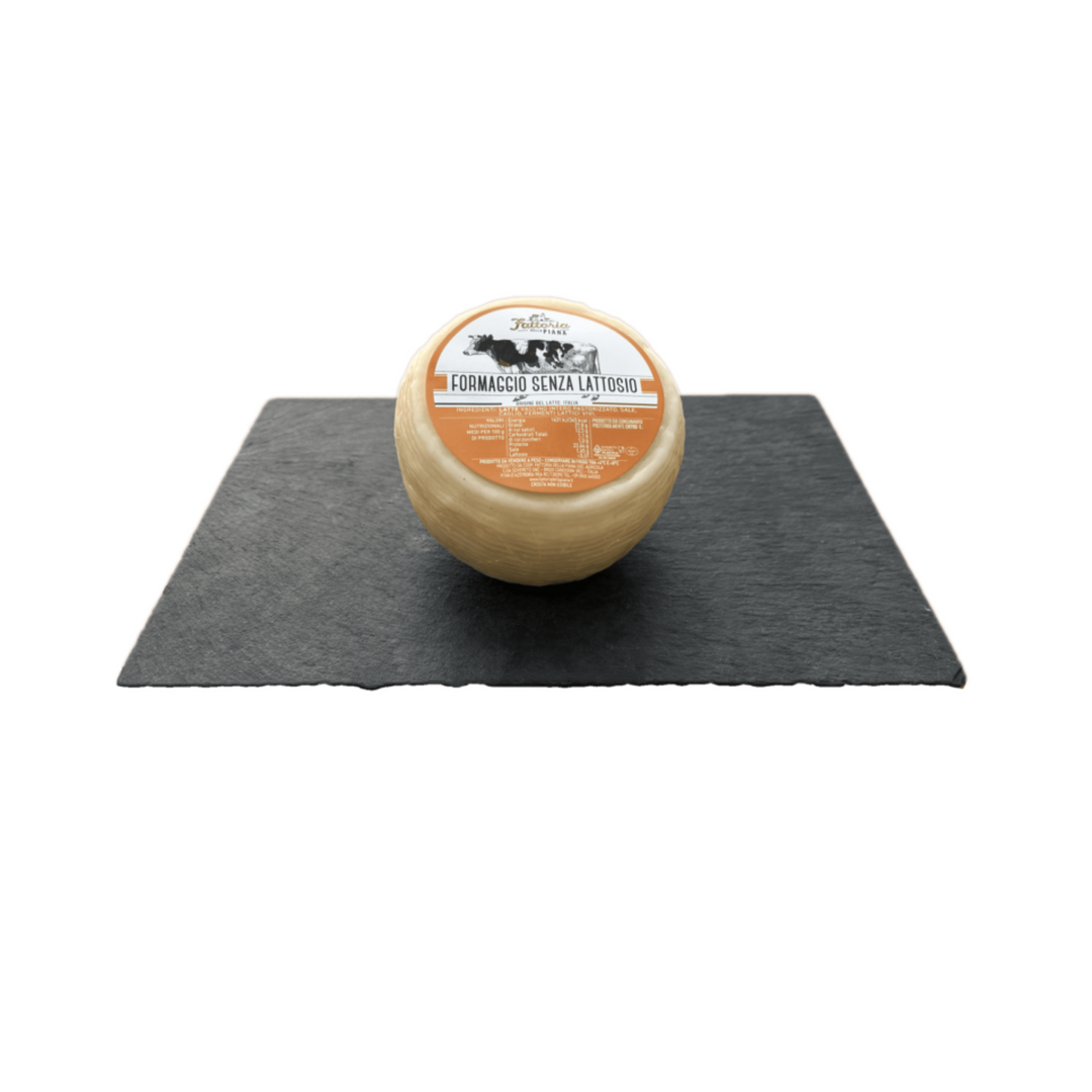 Formaggio senza lattosio